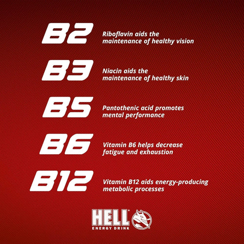 Hell Energy Drink - Exclusive Variety case - 500ml (Pack of 12)